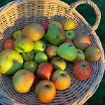 Château La Rametière Alojamento de Acomodação e Pequeno-almoço
