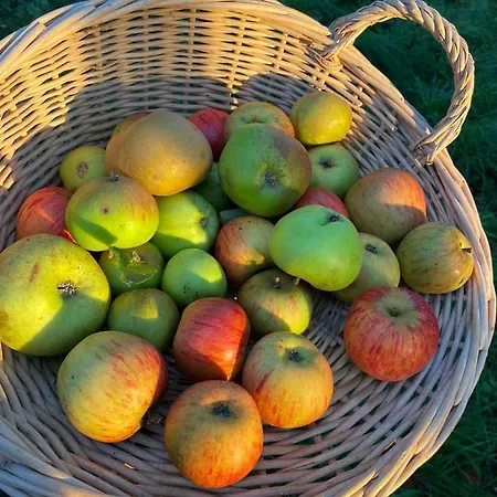 Chateau La Rametiere Bed & Breakfast