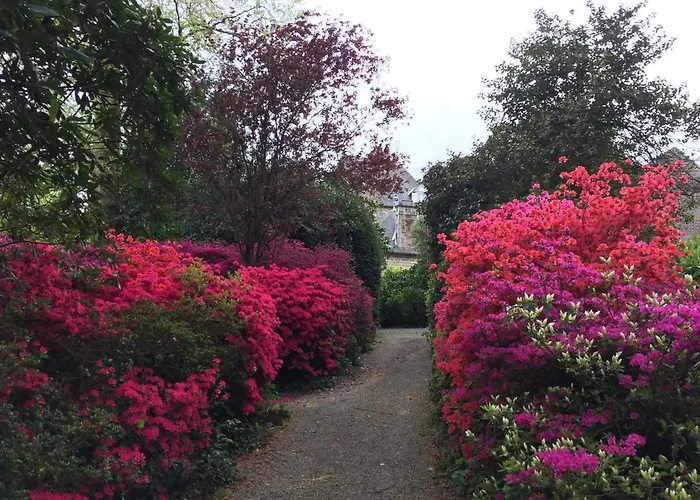 Château La Rametière Bed & Breakfast Le Parc