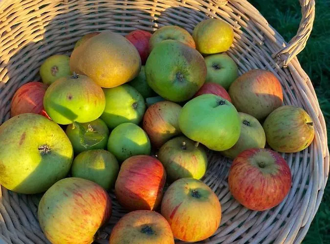 Chateau La Rametiere ベッド・アンド・ブレックファスト